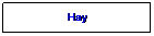 Text Box: Hay
