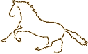 Fuzzy Horse