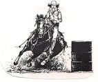 Barrell Horse