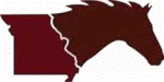 SMR Logo