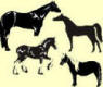 horseright